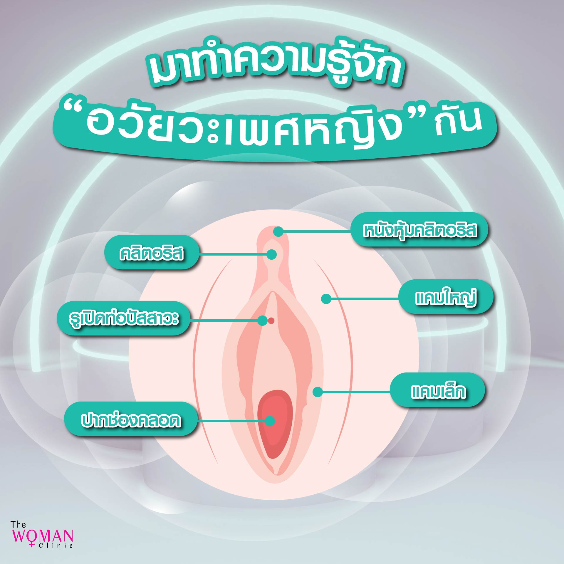 ขลิบหนังหุ้มปลายอวัยวะเพศหญิง